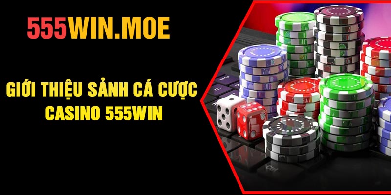 Giới thiệu sảnh cá cược casino 555Win