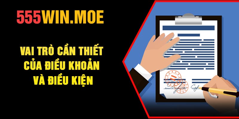 Vai trò cần thiết của điều khoản và điều kiện